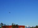 Click image for larger version

Name:	apache51.jpg
Views:	74
Size:	18.9 KB
ID:	545015