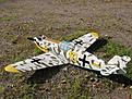 Click image for larger version

Name:	bf109g.jpg
Views:	116
Size:	32.6 KB
ID:	545842
