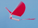 Click image for larger version

Name:	freebird.an.gif
Views:	160
Size:	27.2 KB
ID:	547503