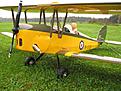 Click image for larger version

Name:	Moth 3.jpg
Views:	101
Size:	70.8 KB
ID:	549198
