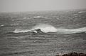 Click image for larger version

Name:	DSC_0333.JPG
Views:	133
Size:	67.3 KB
ID:	551278