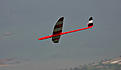 Click image for larger version

Name:	RaceM_2.jpg
Views:	115
Size:	70.3 KB
ID:	553627