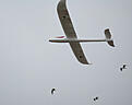 Click image for larger version

Name:	hh2.jpg
Views:	102
Size:	37.8 KB
ID:	556226