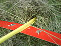 Click image for larger version

Name:	DSC00054.jpg
Views:	70
Size:	178.6 KB
ID:	556314