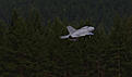 Click image for larger version

Name:	IMG_9761.jpg
Views:	148
Size:	96.0 KB
ID:	557914