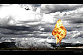 Click image for larger version

Name:	l29_flameball.jpg
Views:	147
Size:	73.9 KB
ID:	558009