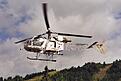 Click image for larger version

Name:	Lama ln-oce.jpg
Views:	124
Size:	96.3 KB
ID:	558275