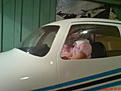 Click image for larger version

Name:	DSC00351.jpg
Views:	126
Size:	69.4 KB
ID:	558512