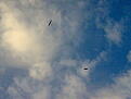 Click image for larger version

Name:	Bilde1005.jpg
Views:	149
Size:	83.1 KB
ID:	558822