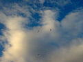 Click image for larger version

Name:	Bilde1004.jpg
Views:	124
Size:	85.7 KB
ID:	558823