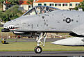 Click image for larger version

Name:	A-10.jpg
Views:	94
Size:	122.0 KB
ID:	559216