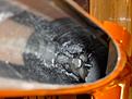 Click image for larger version

Name:	hook_inside.jpg
Views:	140
Size:	47.1 KB
ID:	559626