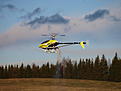 Click image for larger version

Name:	20081115_Raptor_2.JPG
Views:	109
Size:	65.1 KB
ID:	560721