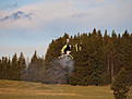Click image for larger version

Name:	20081115_Raptor_4.JPG
Views:	99
Size:	74.3 KB
ID:	560723