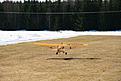 Click image for larger version

Name:	IMG_9016.jpg
Views:	192
Size:	131.7 KB
ID:	562516