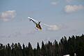 Click image for larger version

Name:	IMG_9046.jpg
Views:	133
Size:	45.9 KB
ID:	562518