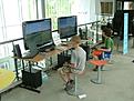 Click image for larger version

Name:	DSCF7843.jpg
Views:	121
Size:	66.3 KB
ID:	563394