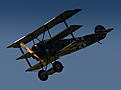 Click image for larger version

Name:	IMG_9099.jpg
Views:	121
Size:	45.5 KB
ID:	564711