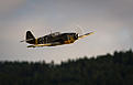 Click image for larger version

Name:	IMG_6083.jpg
Views:	172
Size:	140.1 KB
ID:	564878
