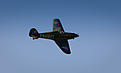 Click image for larger version

Name:	nmfs2-11.jpg
Views:	77
Size:	110.8 KB
ID:	564947