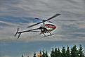 Click image for larger version

Name:	IMG_4055 (800x533).jpg
Views:	199
Size:	76.9 KB
ID:	565362