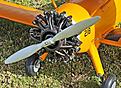 Click image for larger version

Name:	st-21.jpg
Views:	130
Size:	166.6 KB
ID:	565497