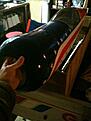 Click image for larger version

Name:	IMG_0168.jpg
Views:	116
Size:	118.9 KB
ID:	565902
