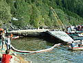 Click image for larger version

Name:	DSCF0044.jpg
Views:	123
Size:	298.7 KB
ID:	566008