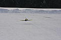 Click image for larger version

Name:	107_resize.JPG
Views:	151
Size:	98.7 KB
ID:	566834