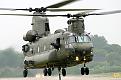 Click image for larger version

Name:	ch47_chinook.jpg
Views:	114
Size:	77.9 KB
ID:	566838