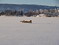 Click image for larger version

Name:	DSC02991.JPG
Views:	101
Size:	260.6 KB
ID:	566983