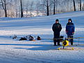 Click image for larger version

Name:	Hobby_20100207_019.jpg
Views:	77
Size:	211.9 KB
ID:	566998