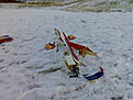 Click image for larger version

Name:	Hobby_20071120_007.jpg
Views:	109
Size:	235.4 KB
ID:	567260