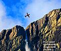 Click image for larger version

Name:	PA Edge.jpg
Views:	131
Size:	185.0 KB
ID:	567664