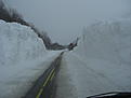 Click image for larger version

Name:	PICT0007.JPG
Views:	104
Size:	73.5 KB
ID:	567986
