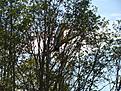 Click image for larger version

Name:	DSC00832.JPG
Views:	143
Size:	280.0 KB
ID:	571255