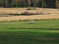 Click image for larger version

Name:	IMG_1418.jpg
Views:	180
Size:	117.7 KB
ID:	571835