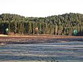 Click image for larger version

Name:	IMG_1545.jpg
Views:	158
Size:	143.5 KB
ID:	573618