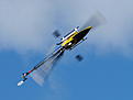 Click image for larger version

Name:	Hobby_20090814_049.JPG
Views:	51
Size:	102.9 KB
ID:	578273