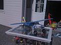 Click image for larger version

Name:	ImageUploadedByTapatalk1305041768.763497.jpg
Views:	112
Size:	77.3 KB
ID:	578779