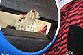Click image for larger version

Name:	IMG_3151.jpg
Views:	123
Size:	131.5 KB
ID:	579454