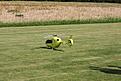 Click image for larger version

Name:	IMG_7092 (1024x683).jpg
Views:	118
Size:	134.8 KB
ID:	591628