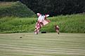 Click image for larger version

Name:	IMG_7205 (1024x683).jpg
Views:	135
Size:	81.9 KB
ID:	591686
