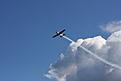 Click image for larger version

Name:	IMG_7423 (1024x683).jpg
Views:	79
Size:	273.3 KB
ID:	591858
