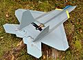 Click image for larger version

Name:	raptor3.jpg
Views:	187
Size:	144.7 KB
ID:	593272