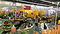 Click image for larger version

Name:	2013-02-02 17.43.50.jpg
Views:	73
Size:	106.5 KB
ID:	597426