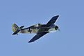 Click image for larger version

Name:	_DSC0047.jpg
Views:	118
Size:	25.8 KB
ID:	599614