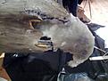 Click image for larger version

Name:	20130403_234703.jpg
Views:	119
Size:	91.7 KB
ID:	599676