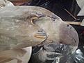 Click image for larger version

Name:	20130404_213405.jpg
Views:	123
Size:	81.6 KB
ID:	599677