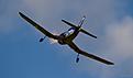 Click image for larger version

Name:	NMFK 2013-4554.jpg
Views:	162
Size:	24.7 KB
ID:	600987